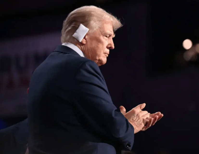 莉亚&middot;珀塞尔